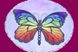 Пляжний круглі рушники килимок з бахромою Colorful Home 150 см мікрофібра Великий метелик (1005726)