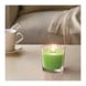 Ароматична свічка в склянці IKEA SINNLIG 9 см яблуко та груша Зелений (703.374.09)